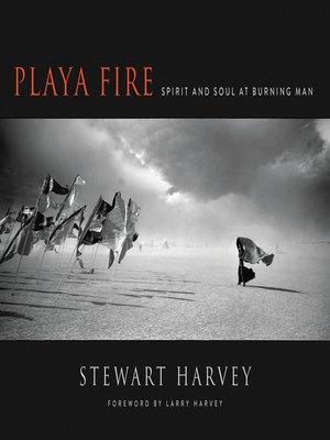 cover image of Playa Fire